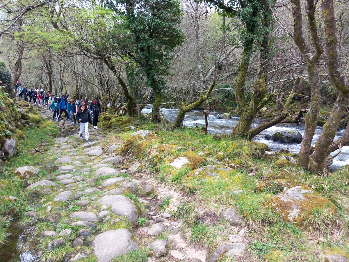 Mobilité de groupe à Arcos de Valdevez
