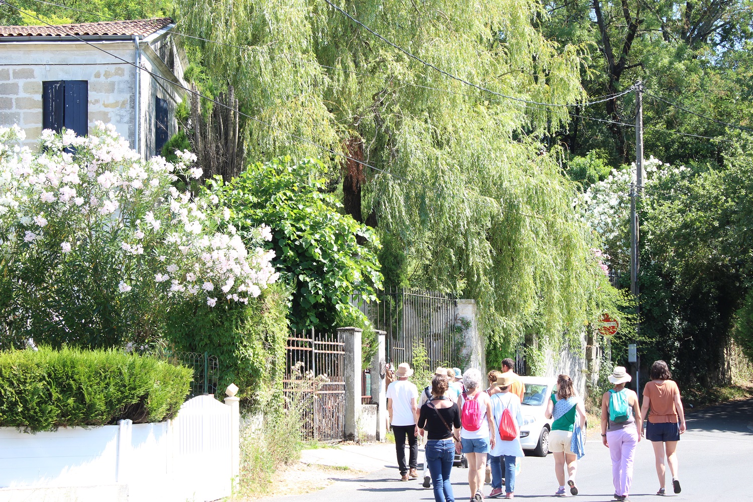 arrivée de la randonnée dans le quartier Lissandre