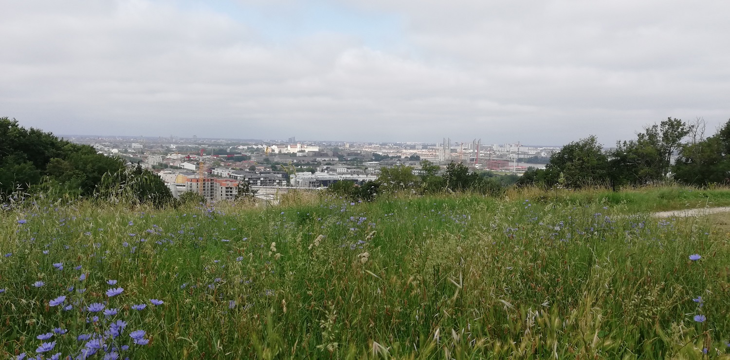 point de vue depuis Tranchère 