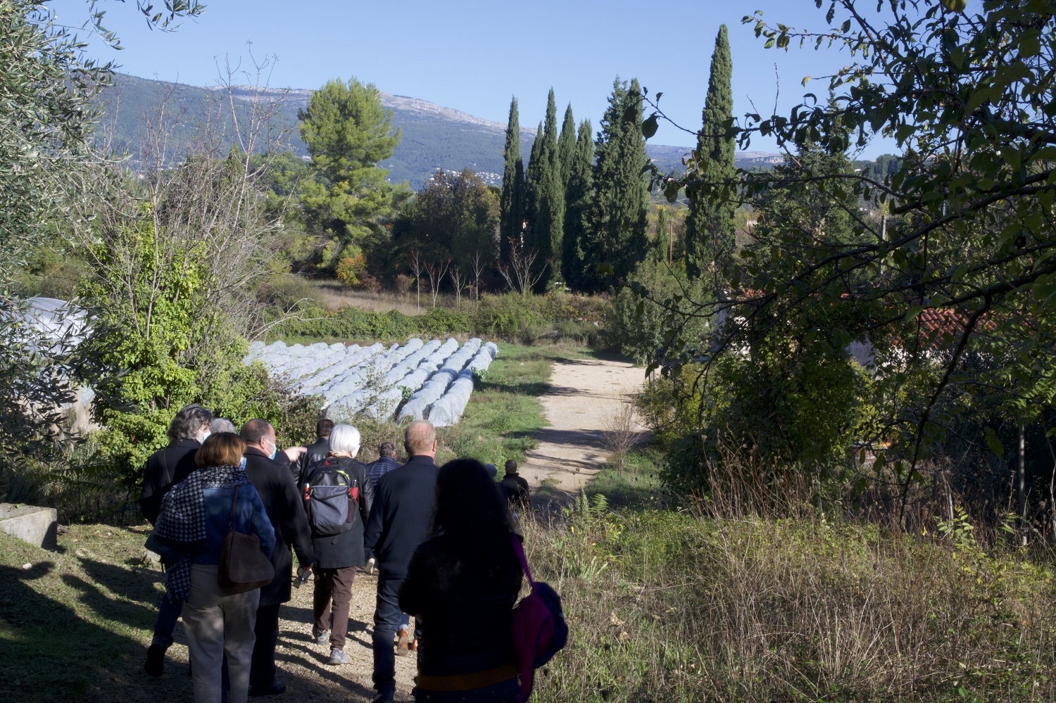 Délégation du GPV en visite à Mouans-Sartoux, ville pionnière du réseau Cantines Durables – Territoires Engagés.