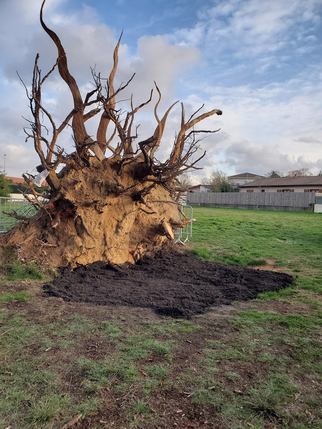 plantation avec les habitants
