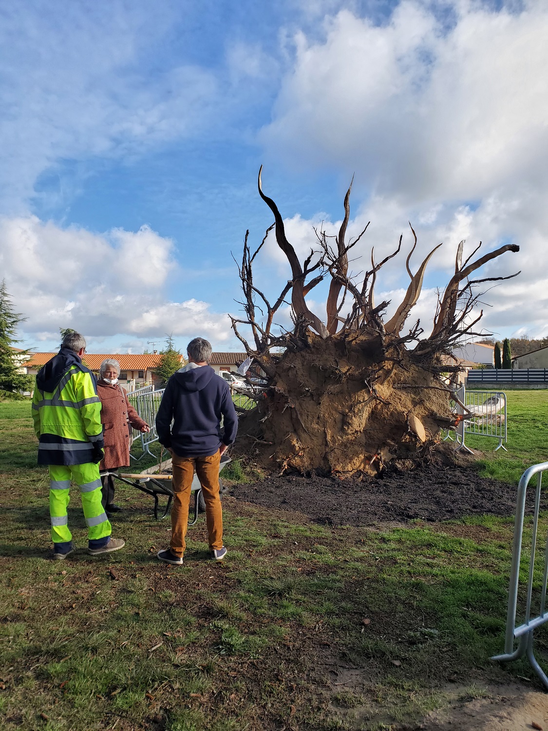 plantation avec les habitants