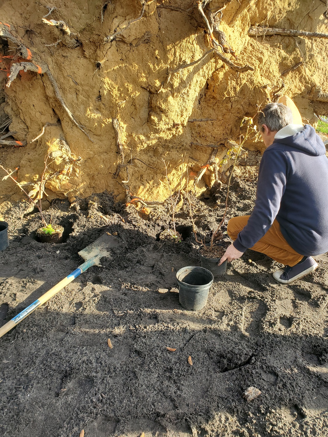plantation avec les habitants
