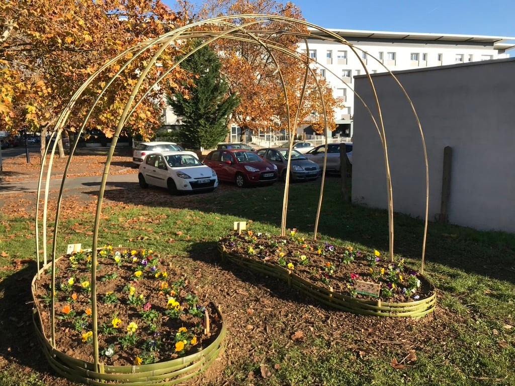 plantations à la Marègue