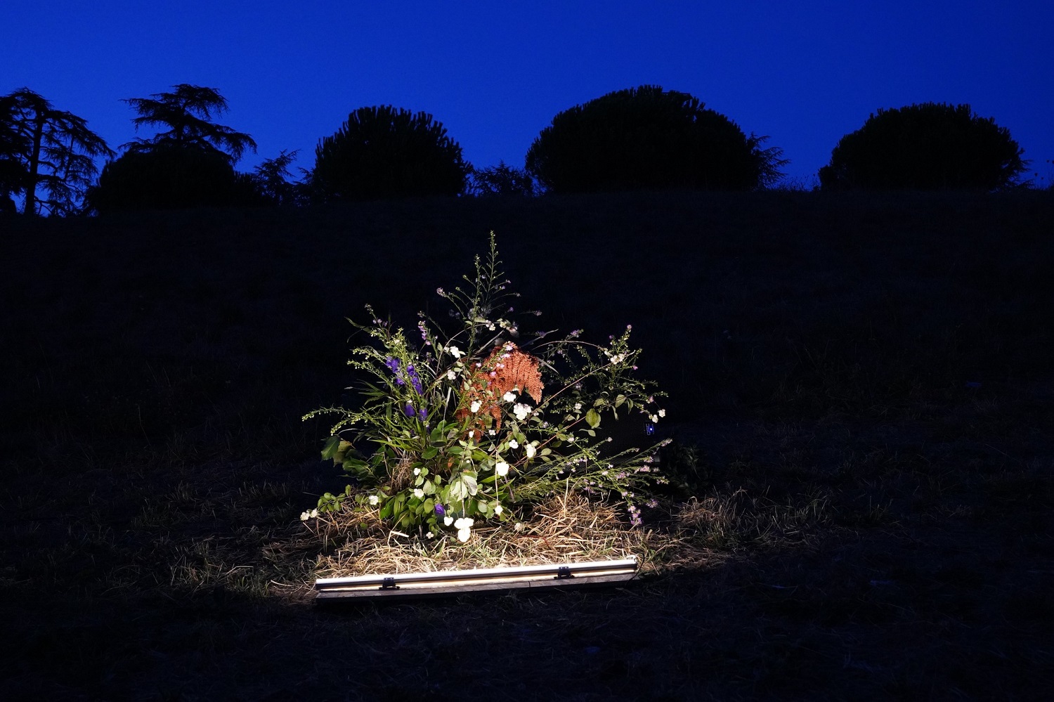 Installation de Georgette Power