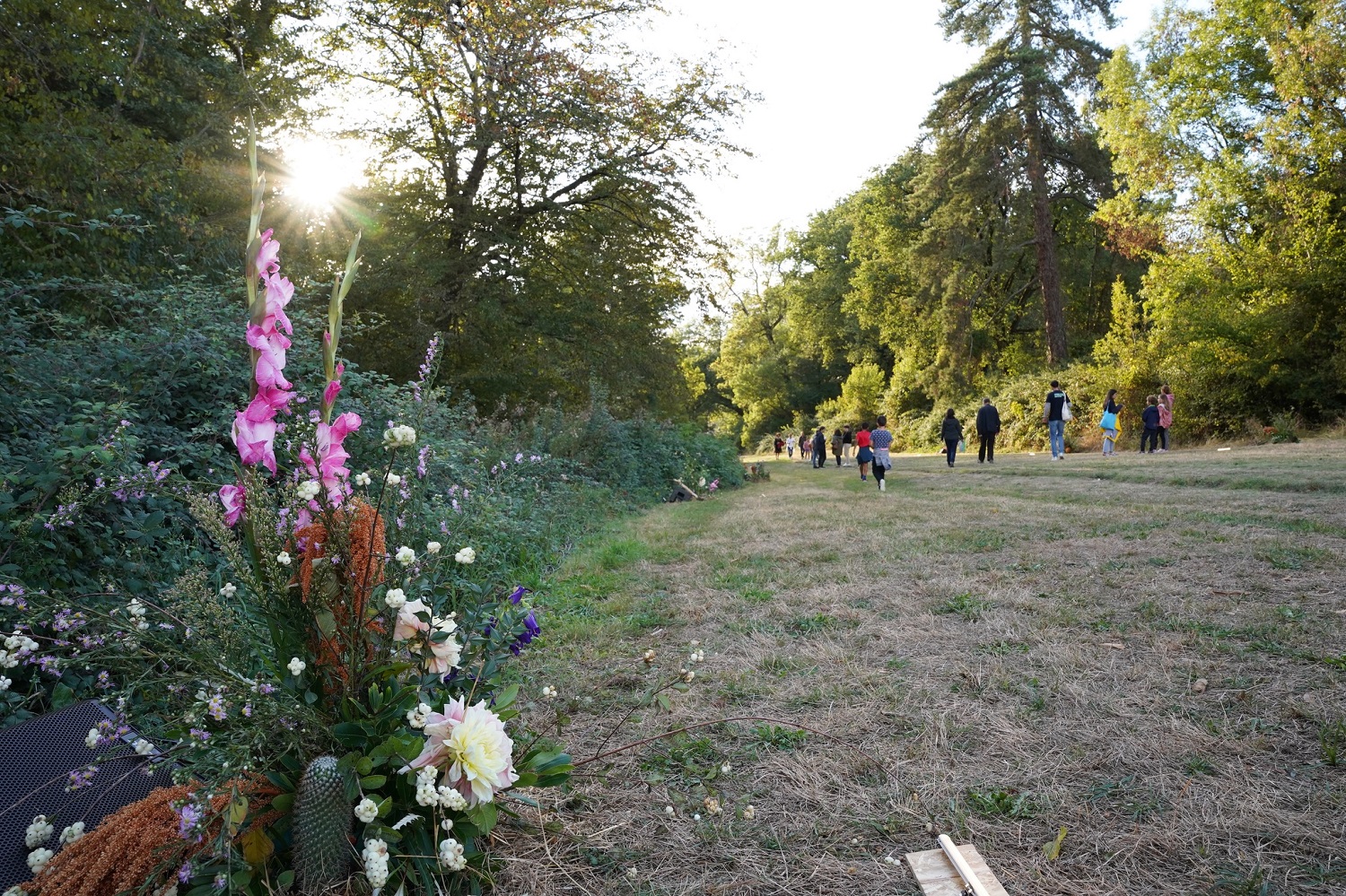 installation de Georgette Power