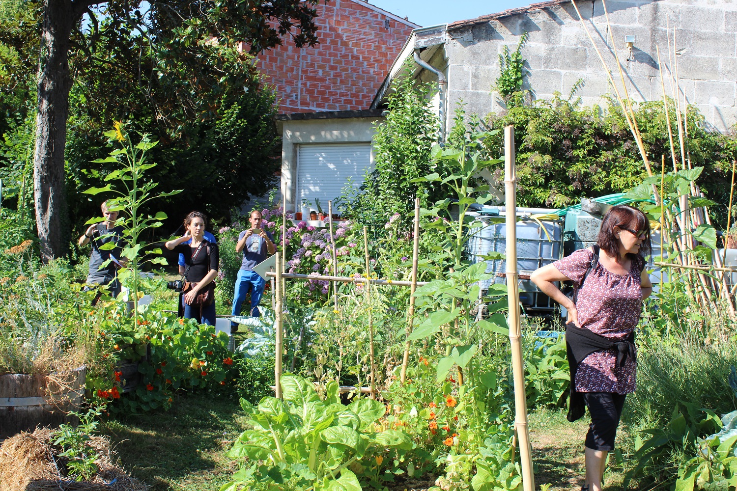 dans le jardin de Nathalie Germaine Veille