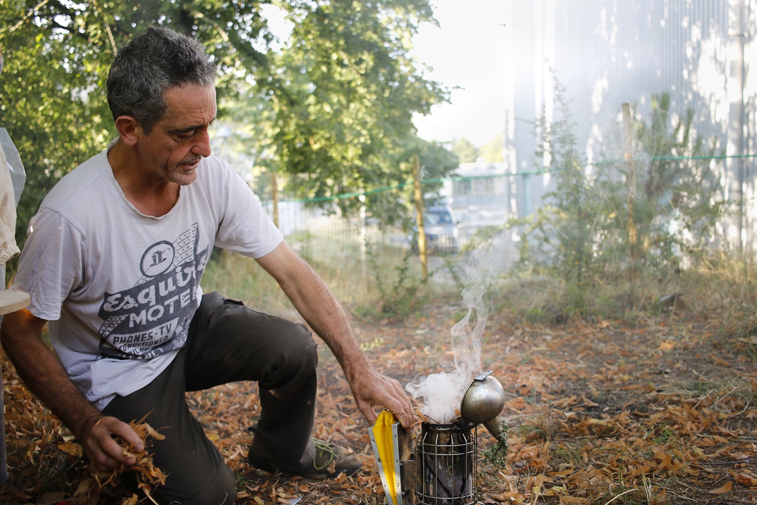 Guy de Saint Albin, apiculteur référent