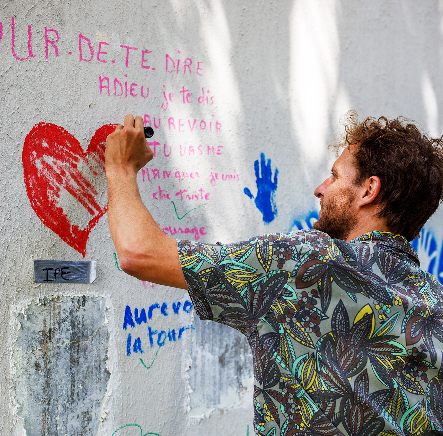 maison du projet : coordinateur 