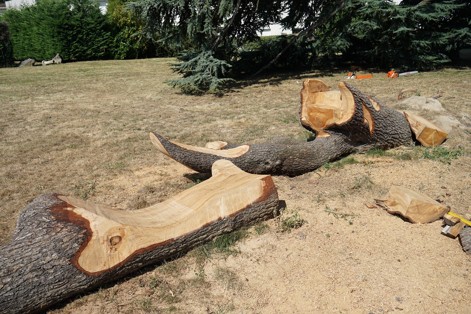la rivière de cèdre se dessine