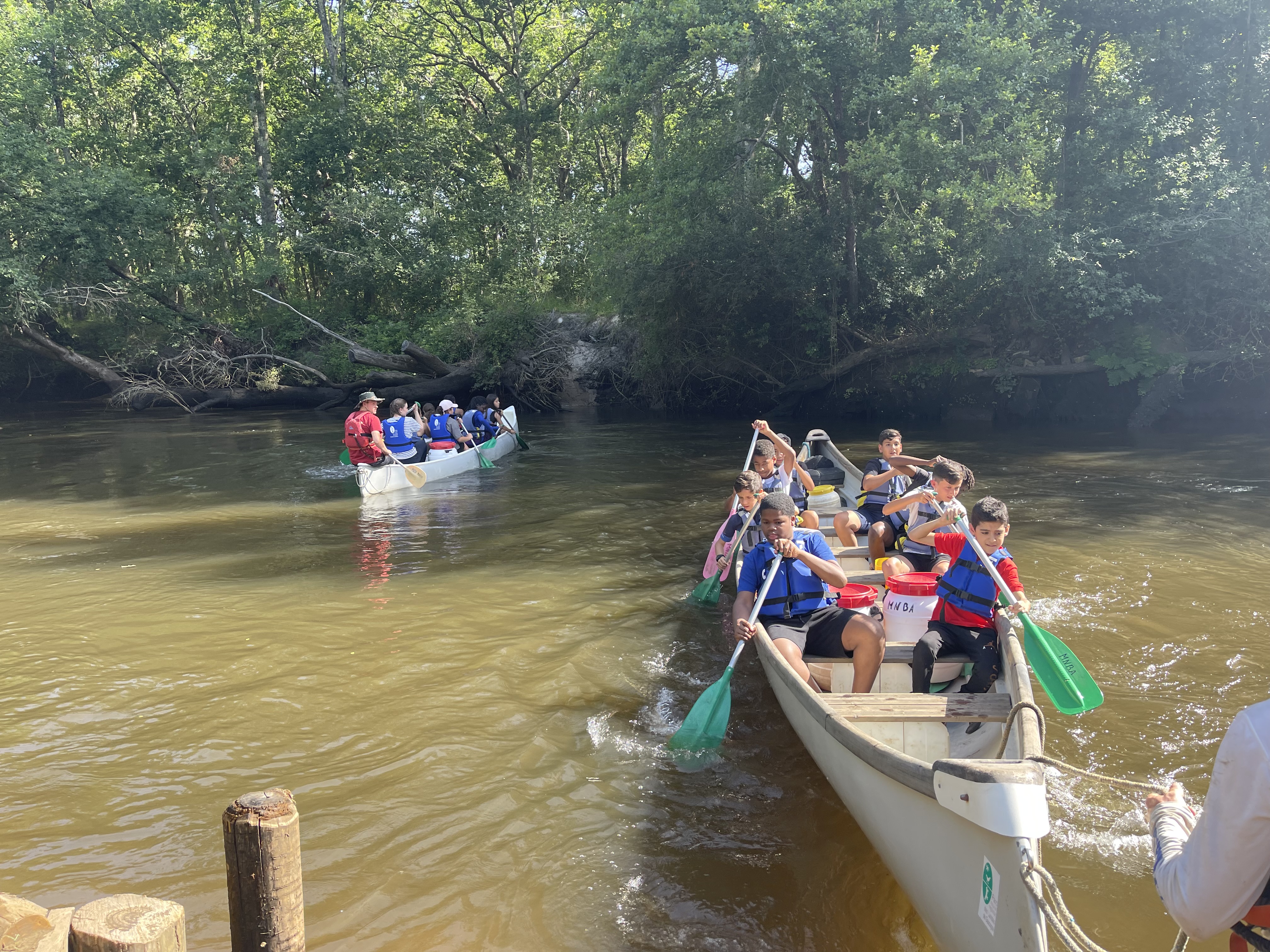 Descente de la Leyre en canoë