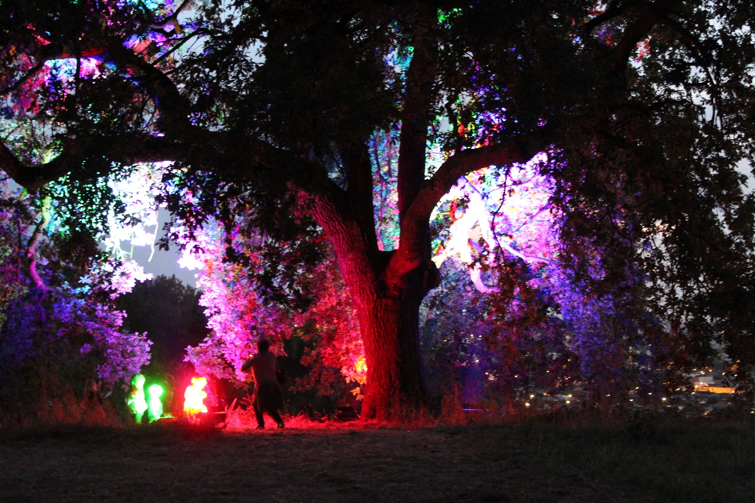 mise en lumière de Serge Damon