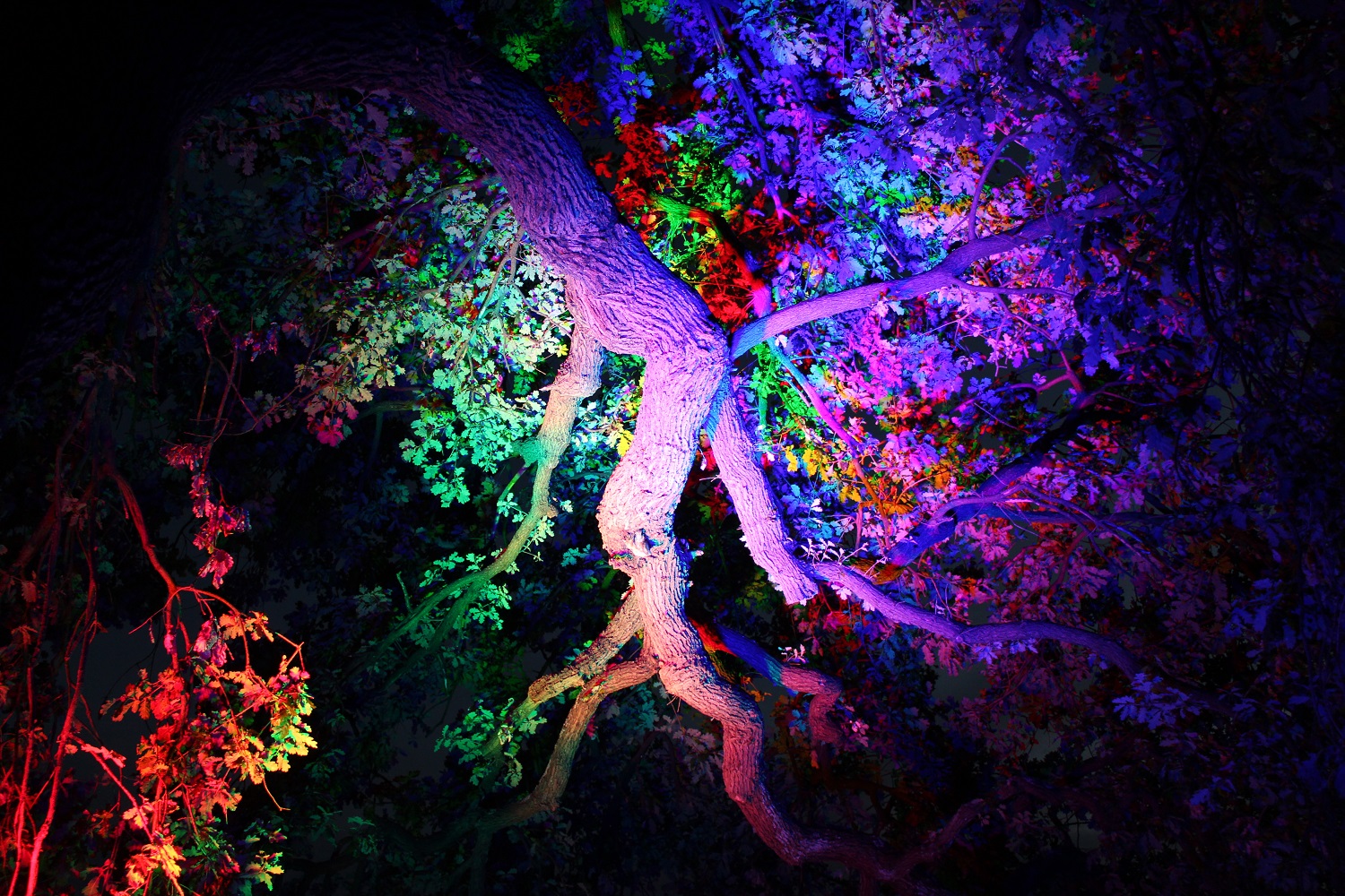 mise en lumière de Serge Damon