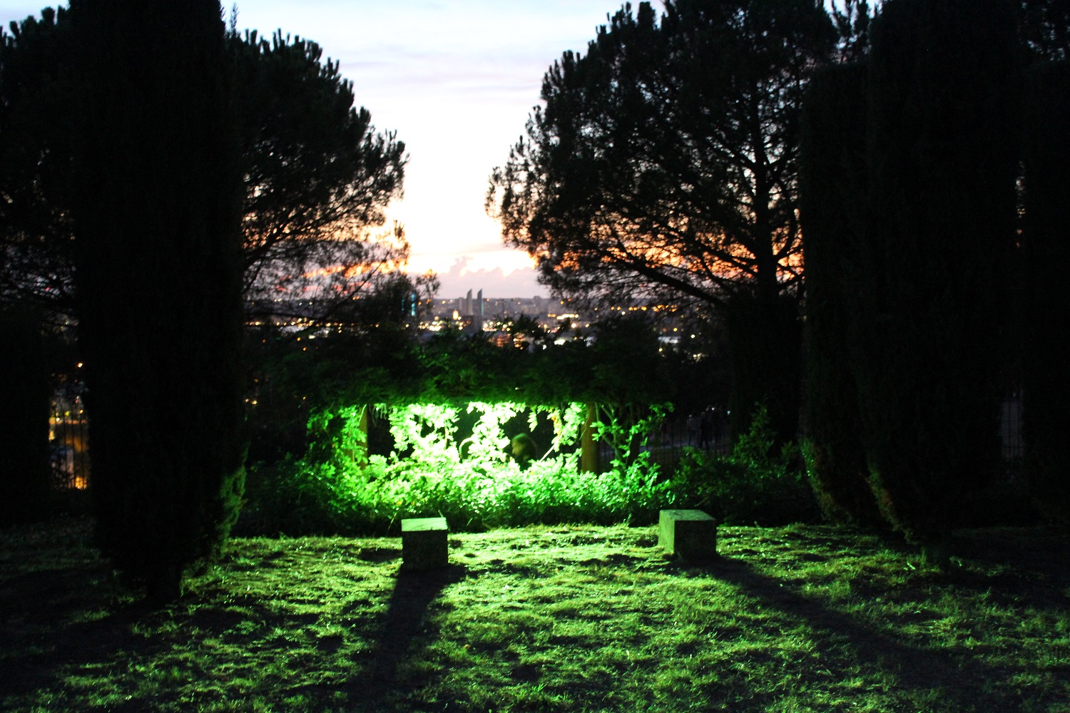 mise en lumière de Serge Damon