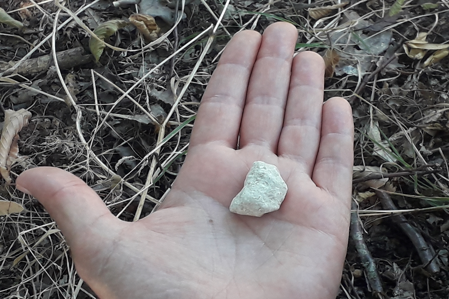 la voix, une main tendue avec un petit caillou blanc dedans