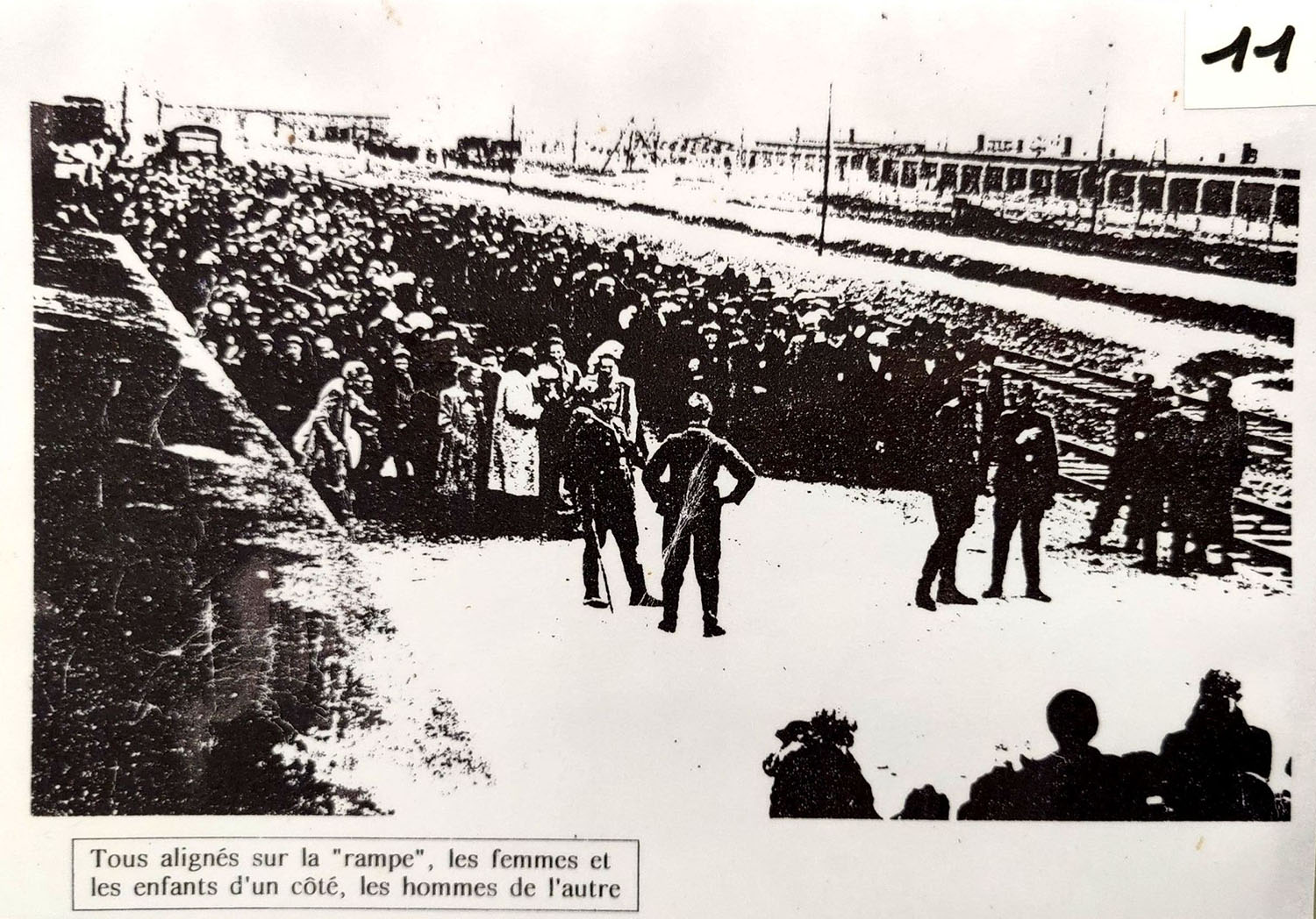 Regroupement femmes_hommes