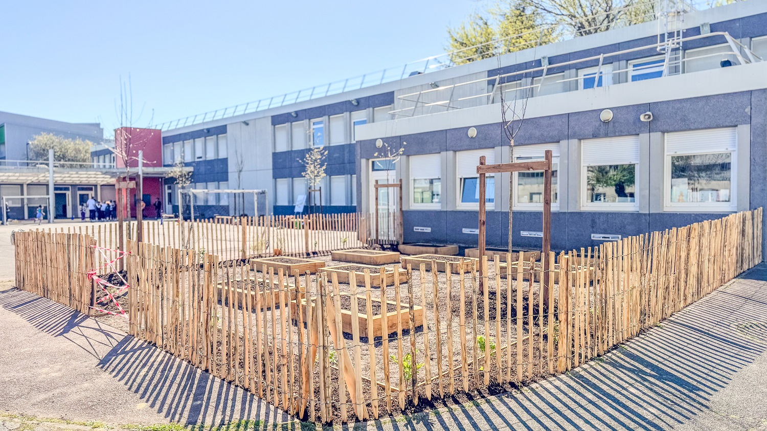 cour Van Gogh végétalisée