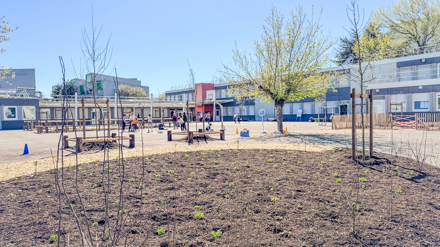 cour Van Gogh végétalisée