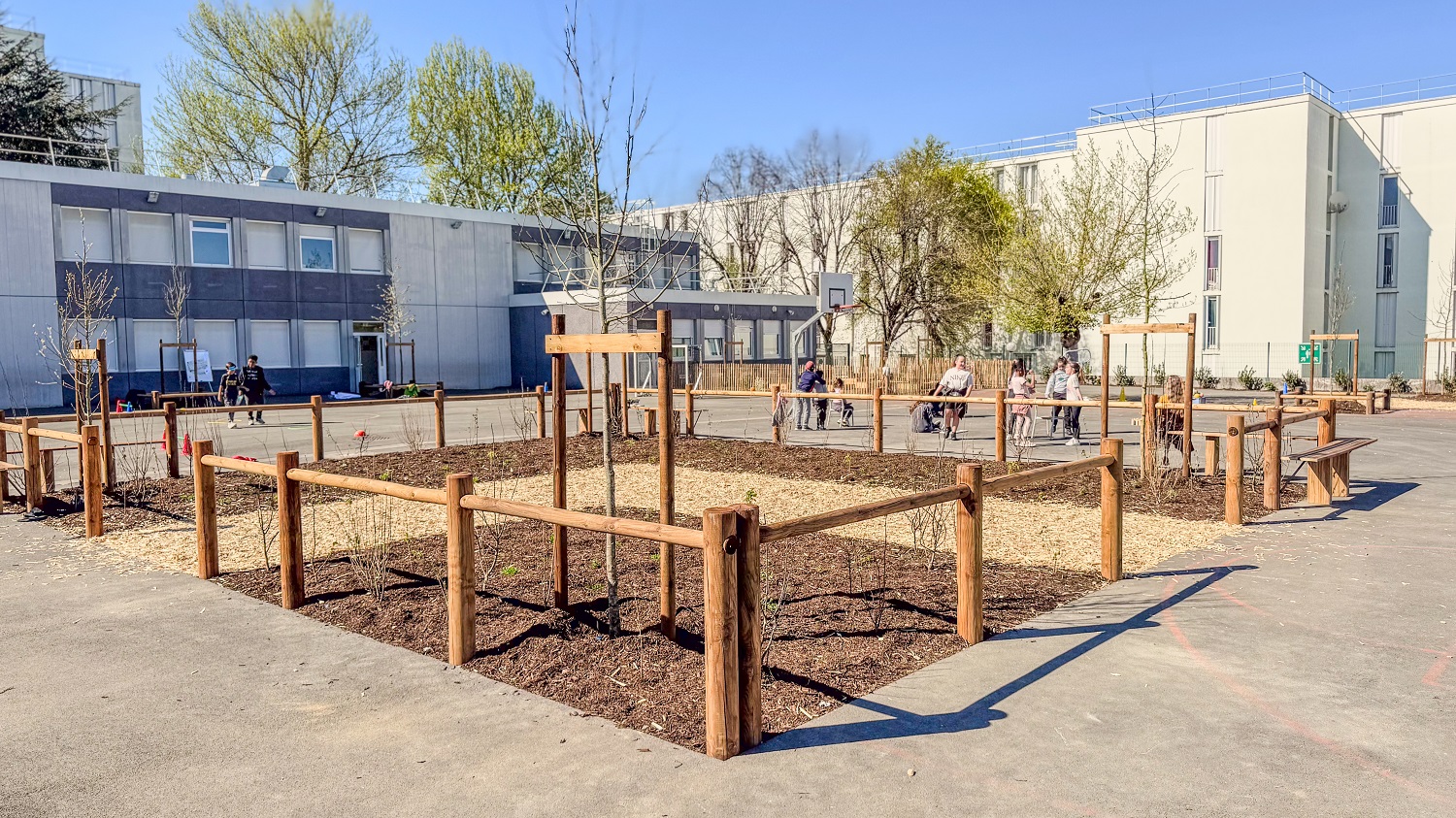 cour Van Gogh végétalisée