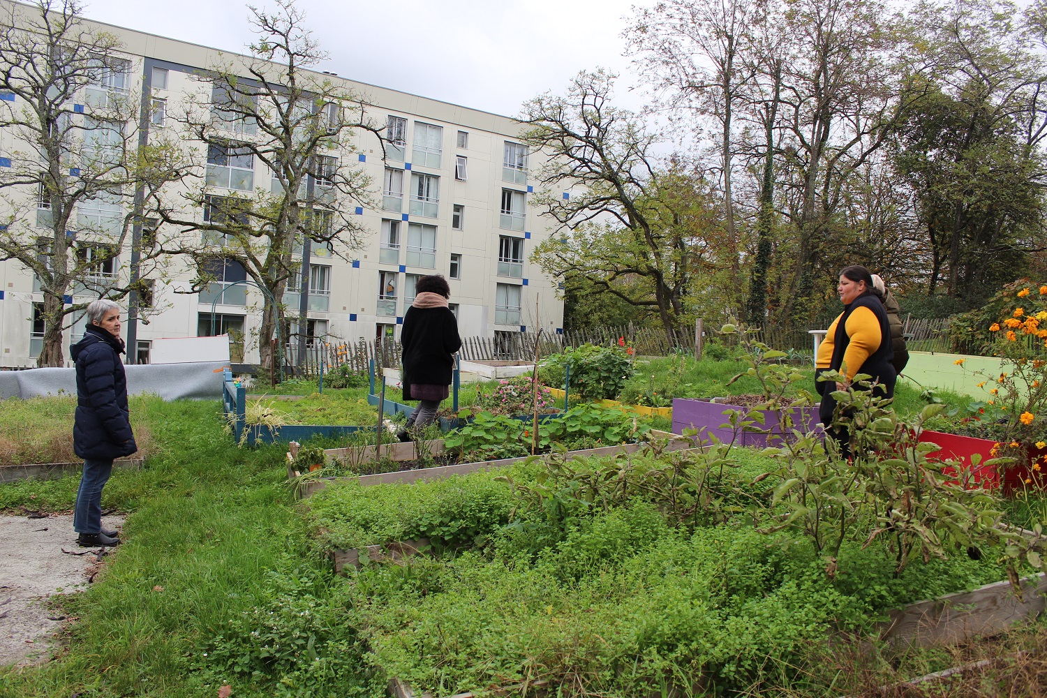 Johana, Marie-Hélène, Nadège, Bernadette 