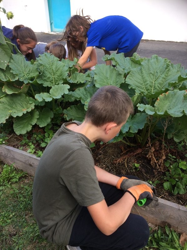Les élèves volontaires se rendent au Potazay deux fois par semaine, entre midi et deux 