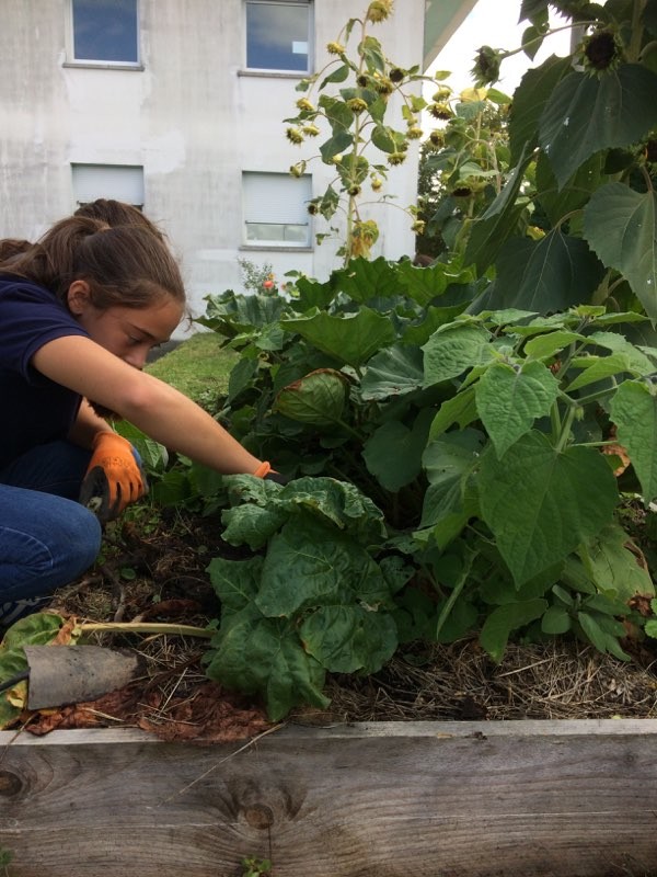 Septembre 2019, reprise de l'activité jardinage