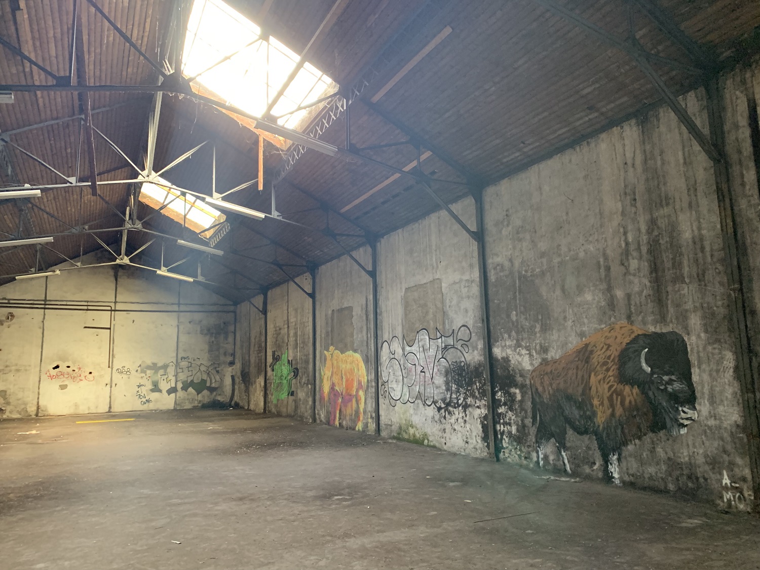 Férmés en 1987, les street artists ont investi les lieux désaffectés