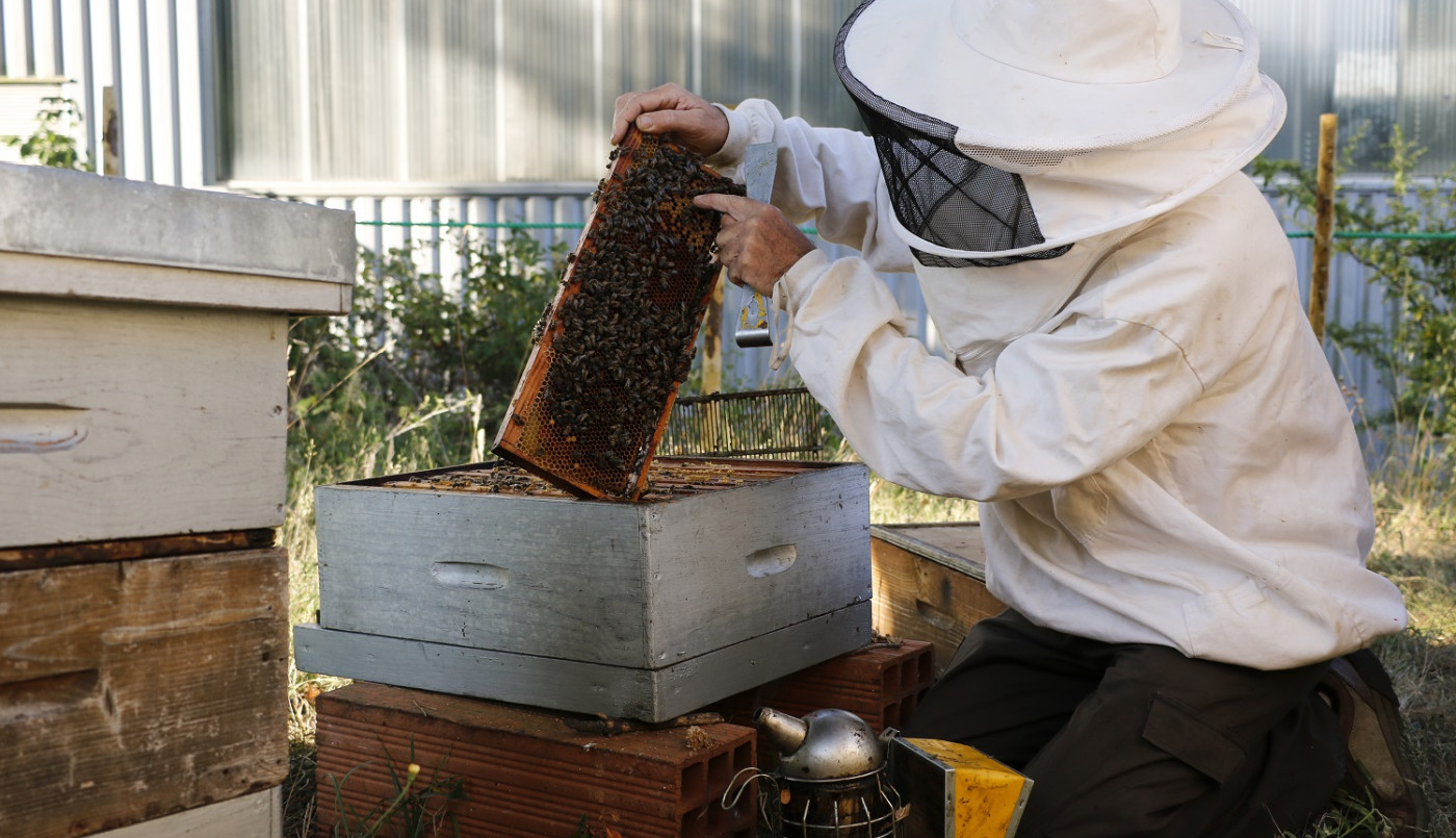 Ca butine et ça niche au collège Jean Zay !