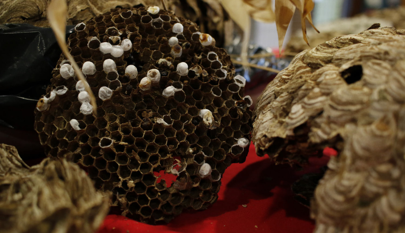 Lutter contre les nuisibles