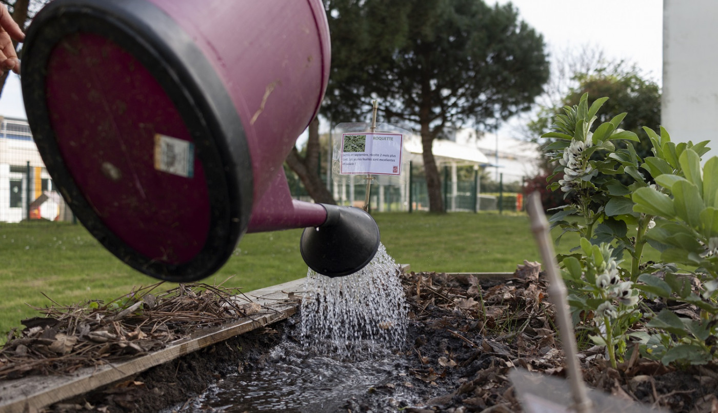 Ça transite en ville !