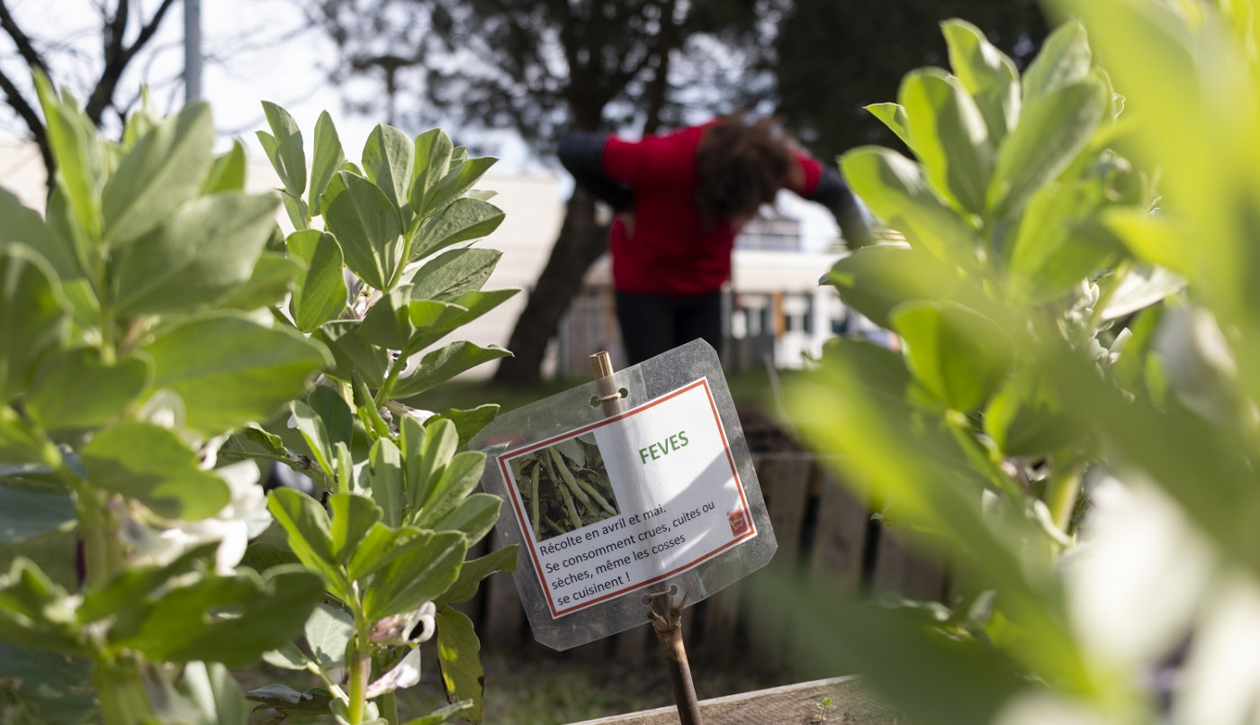 Cenon, ville fertile en transition