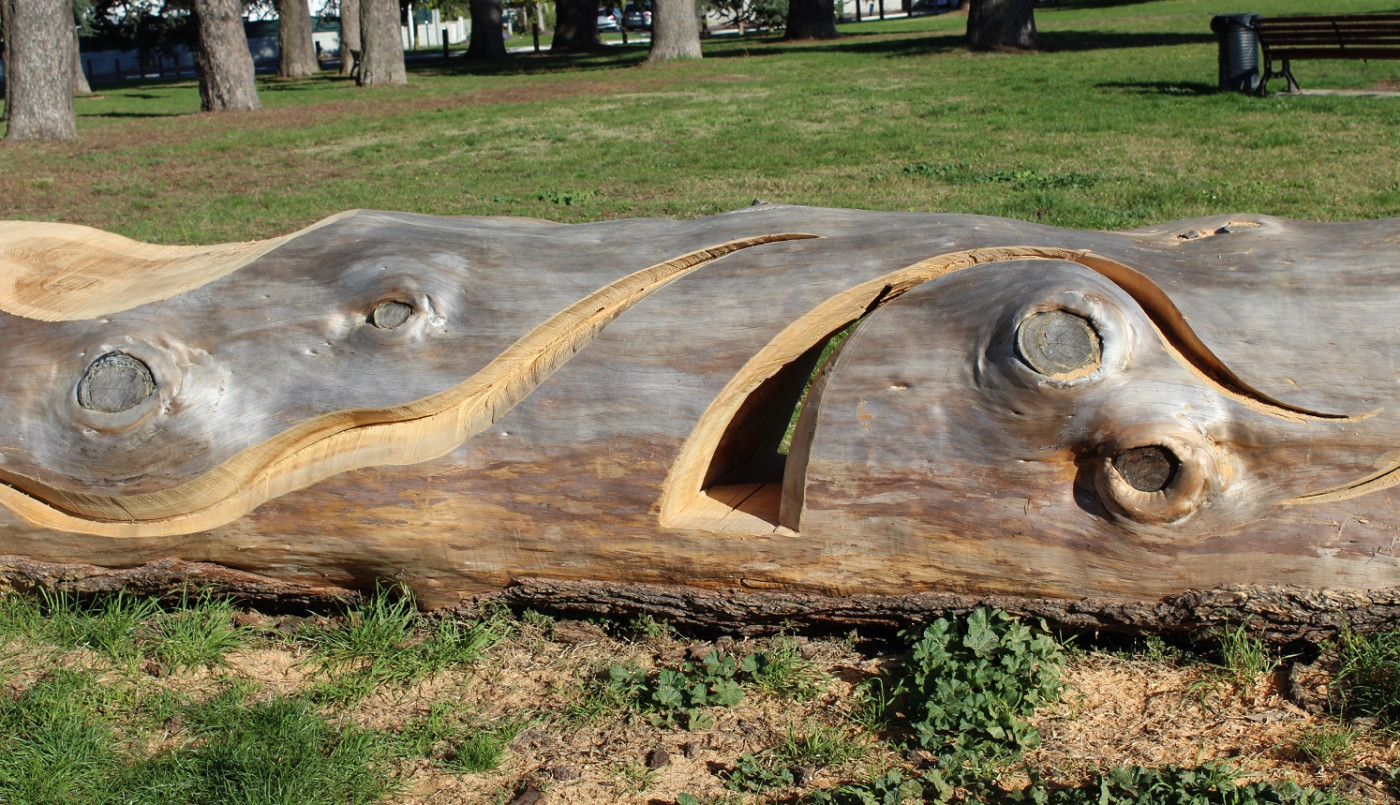 Cèdre-moi (encore plus) fort