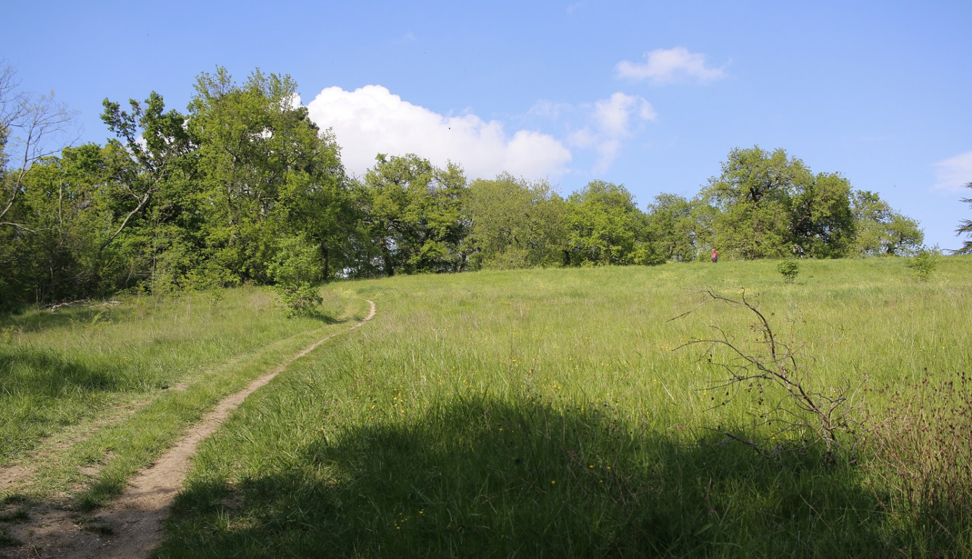 Parc des Coteaux : Espace Naturel Sensible sous surveillance
