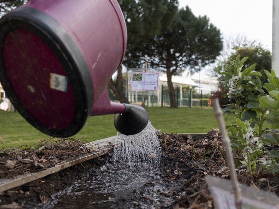 jardin partagé à La Saraillère