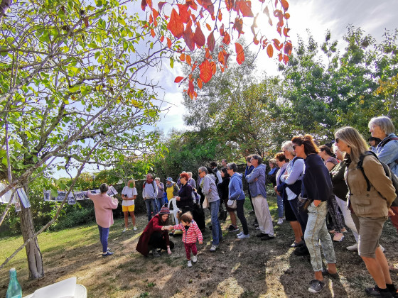 visite de la Roseraie